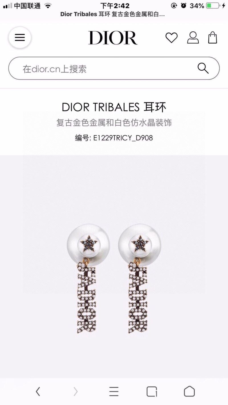 Christian Dior Earrings